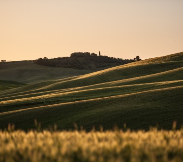 Panorama toscano